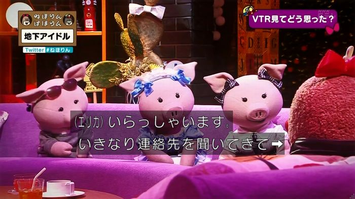 ねほりん 地下アイドル後編のキャプ74