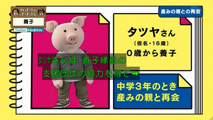ねほりん 養子回のキャプ310