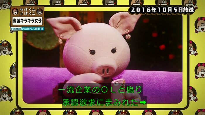 ねほりん 最終回のキャプ4