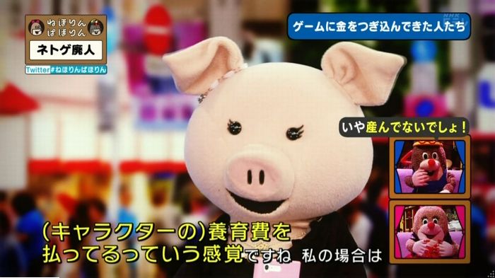 ねほりんネトゲ廃人のキャプ217