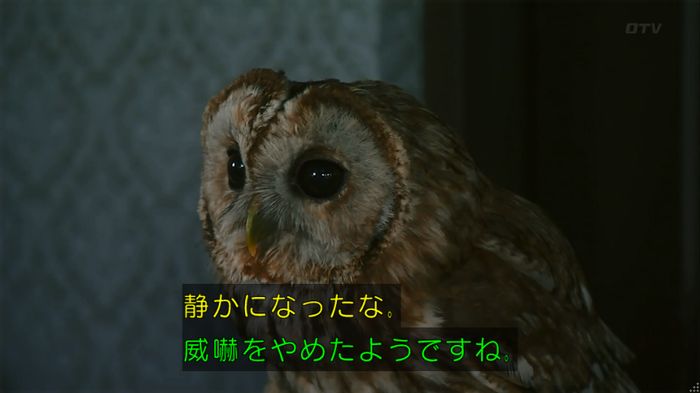 警視庁いきもの係 8話のキャプ192
