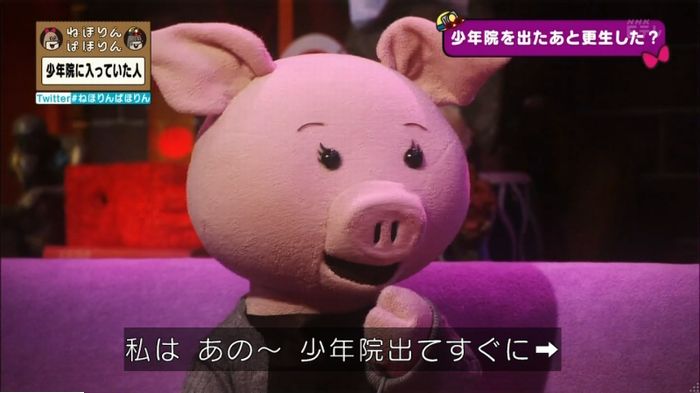ねほりんぱほりんのキャプ217