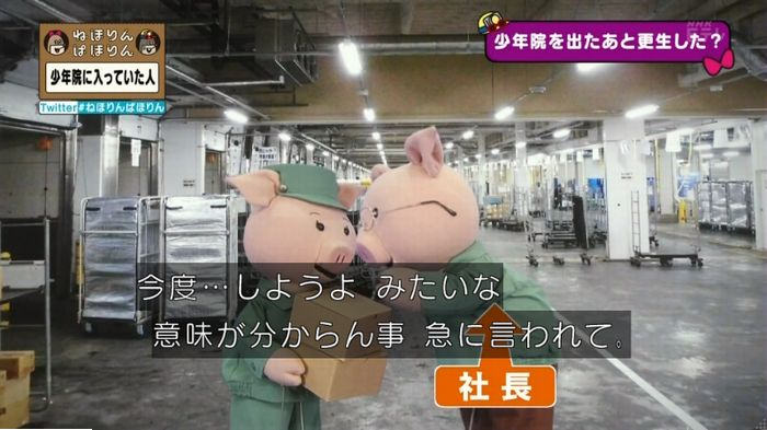 ねほりんぱほりんのキャプ223
