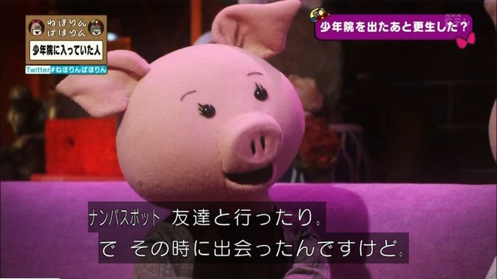 ねほりんぱほりんのキャプ228