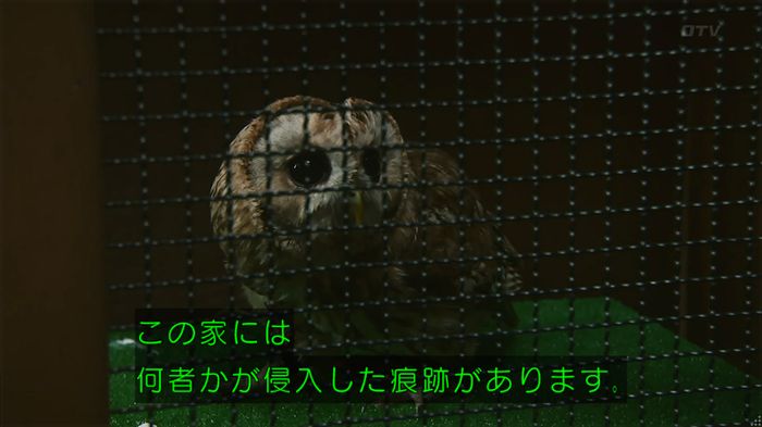 警視庁いきもの係 8話のキャプ259