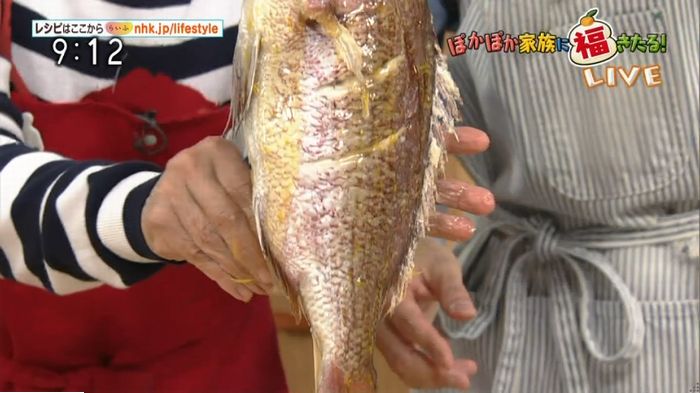 平野レミのキャプ32