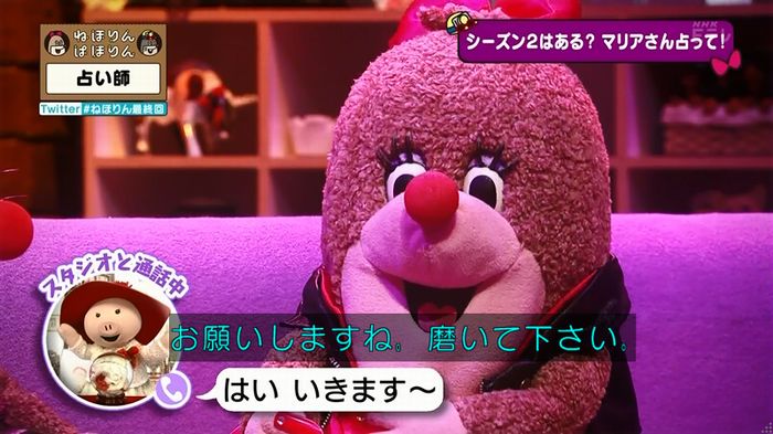 ねほりん 最終回のキャプ71