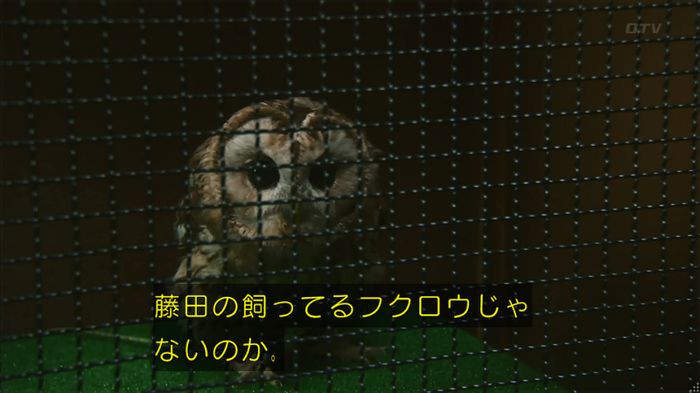 警視庁いきもの係 8話のキャプ284