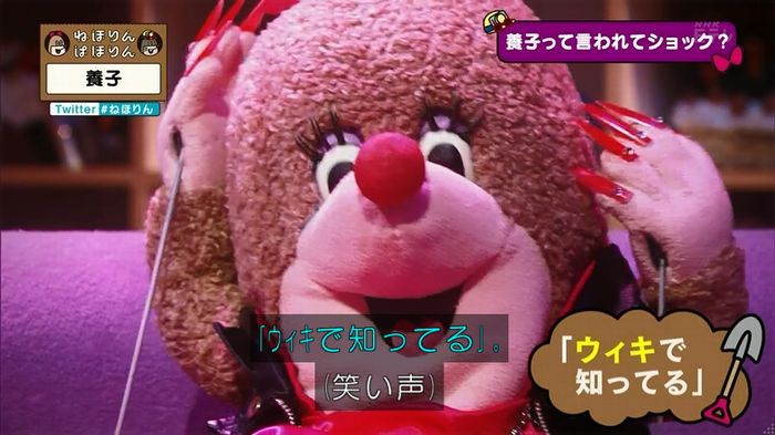 ねほりん 養子回のキャプ114