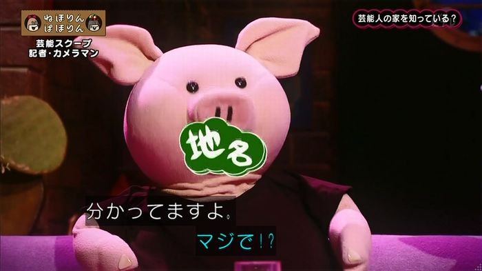 ねほりん 芸能スクープ回のキャプ95