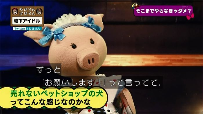 ねほりん 地下アイドル回のキャプ514