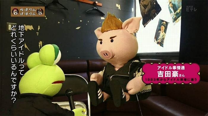 ねほりん 地下アイドル回のキャプ12