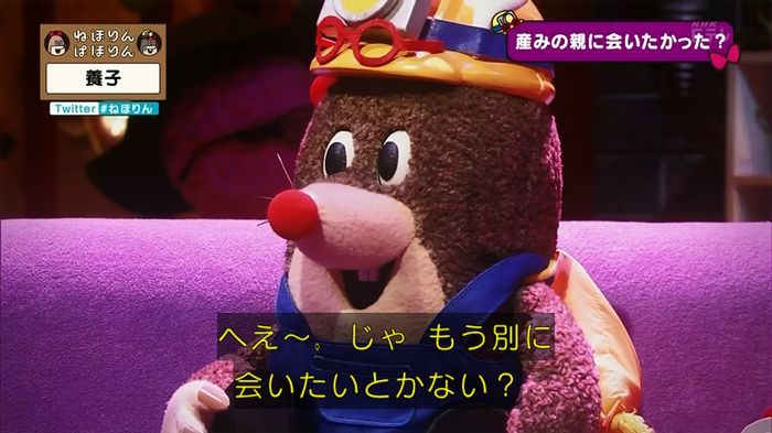 ねほりん 養子回のキャプ294