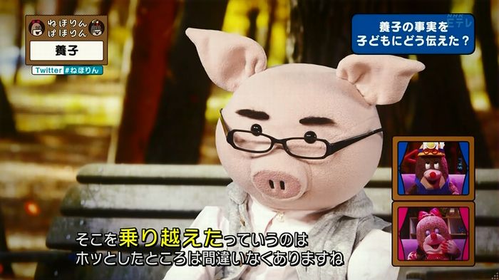 ねほりん 養子回のキャプ156
