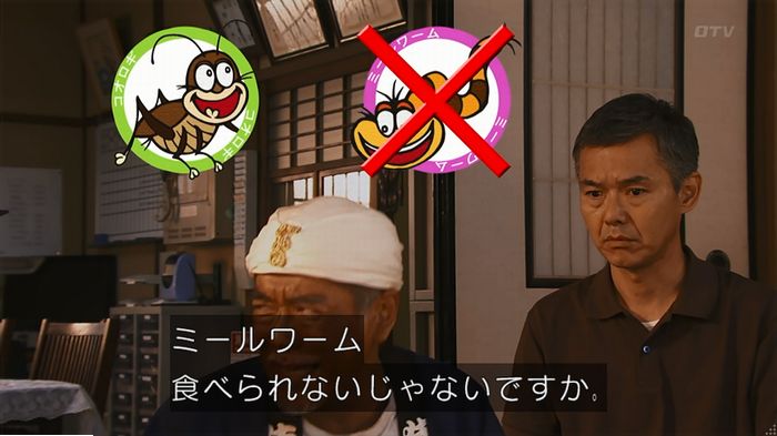 警視庁いきもの係 9話のキャプ261