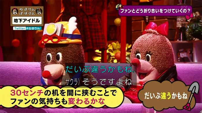 ねほりん 地下アイドル後編のキャプ263