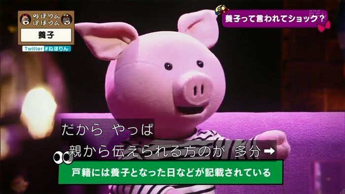 ねほりん 養子回のキャプ106