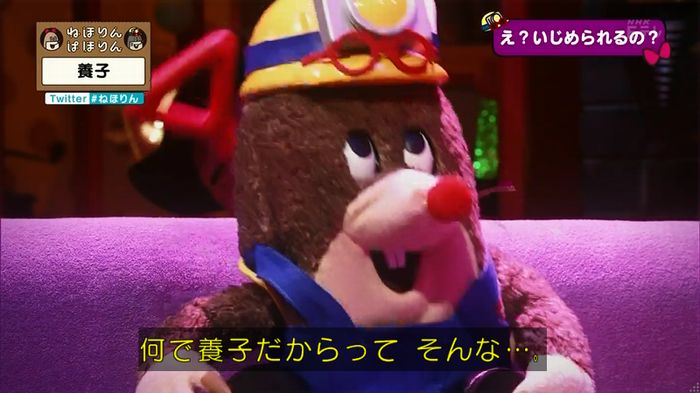 ねほりん 養子回のキャプ204