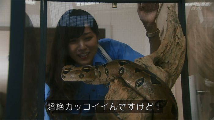 いきもの係 3話のキャプ193