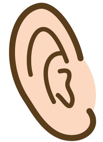 耳