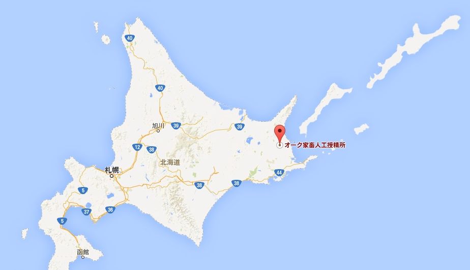 異種姦【触手蟲獣妖怪機械人外】総合スレ194.2匹目 [無断転載禁止]©bbspink.com	YouTube動画>1本 ->画像>1101枚 