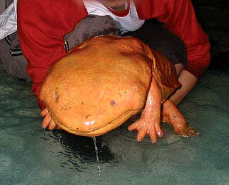 NHK51250{j©2ch.net	YouTube>2{ ->摜>16 