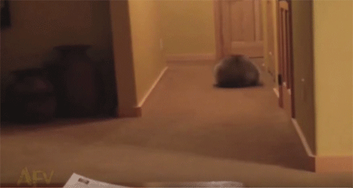 ȋȑqZ 238rڔLKCWuX [f]ڋ֎~]©bbspink.com	->摜>3749 