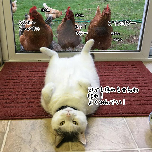 }łFXƌł	YouTube>4{ ->摜>72 