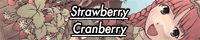 東方アレンジCD
「Strawberry_Cranberry」