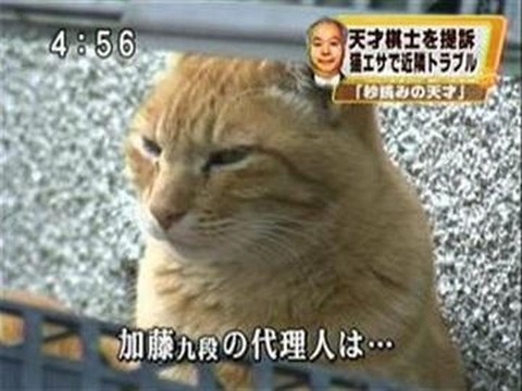 http://livedoor.4.blogimg.jp/rabitsokuhou/imgs/a/9/a998f993-s.jpg