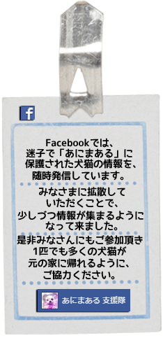 あにまある支援隊
